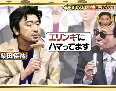 《拯救杏鮑菇業界的桑田佳祐》23年前上節目大讚好吃 從此帶起日本人吃杏鮑菇的熱潮?