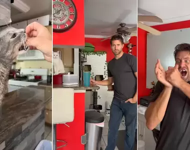 國外男子分享《自己成為貓貓俠的方法》當我被貓咬一口時我獲得了超能力