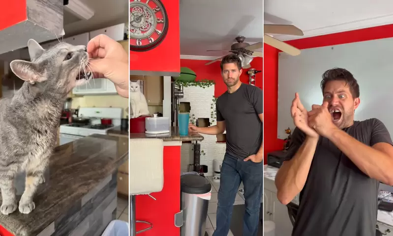 國外男子分享《自己成為貓貓俠的方法》當我被貓咬一口時我獲得了超能力