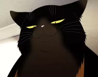 《我家的貓眼神很凶惡》日本網友分享自家貓咪照 即便一臉凶神惡煞還是很可愛