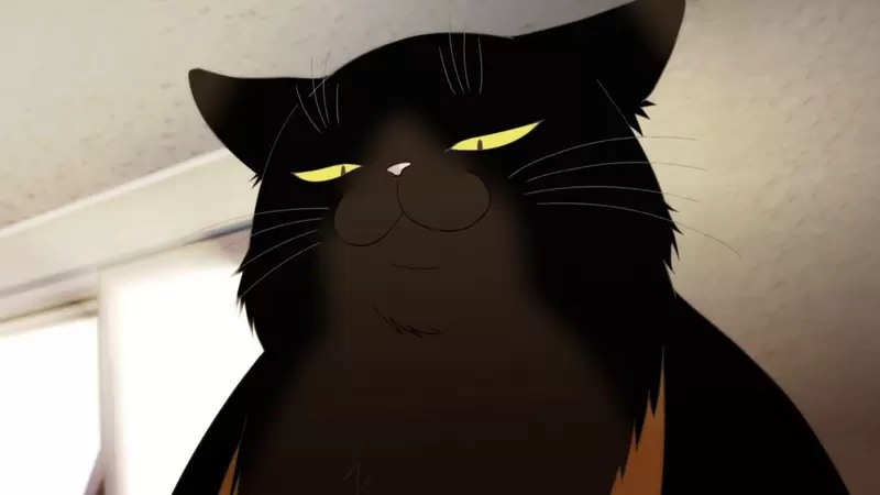 《我家的貓眼神很凶惡》日本網友分享自家貓咪照 即便一臉凶神惡煞還是很可愛