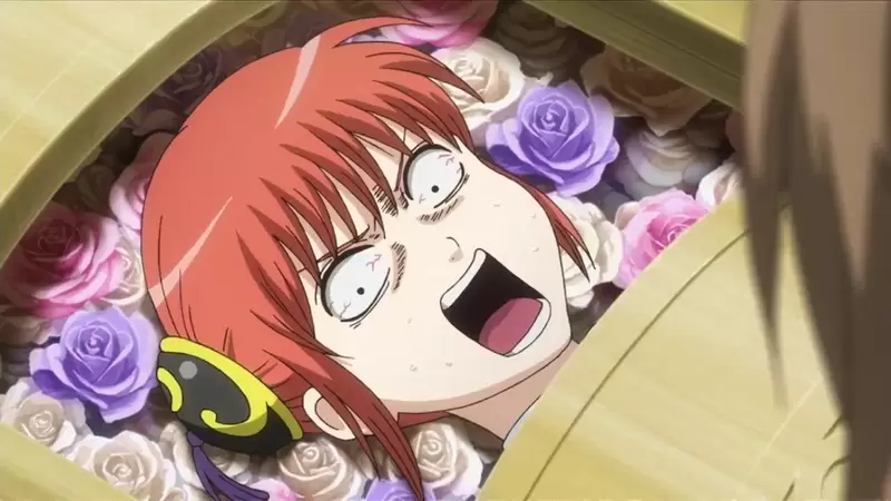 《不要探頭進棺材》日本消費者廳做出罕見呼籲 近年已經發生３起死亡意外了