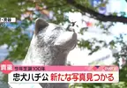 日本最有名的狗狗《忠犬八公》今年100歲生日，澀谷站前的八公像大家有去看過嗎？