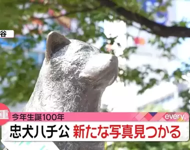 日本最有名的狗狗《忠犬八公》今年100歲生日,澀谷站前的八公像大家有去看過嗎?