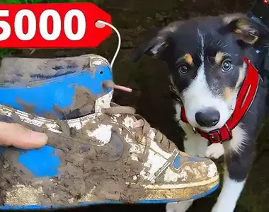 清洗系影片《拯救泥濘中的AirJordan 1》全力搓洗之後恢復成閃亮如新的樣子