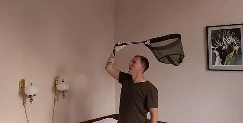 《度假酒店蝙蝠危機》無視警語半夜開窗,結果隔天一早房裡多了250隻蝙蝠 《度假酒店蝙蝠危機》無視警語半夜開窗,結果隔天一早房裡多了250隻蝙蝠