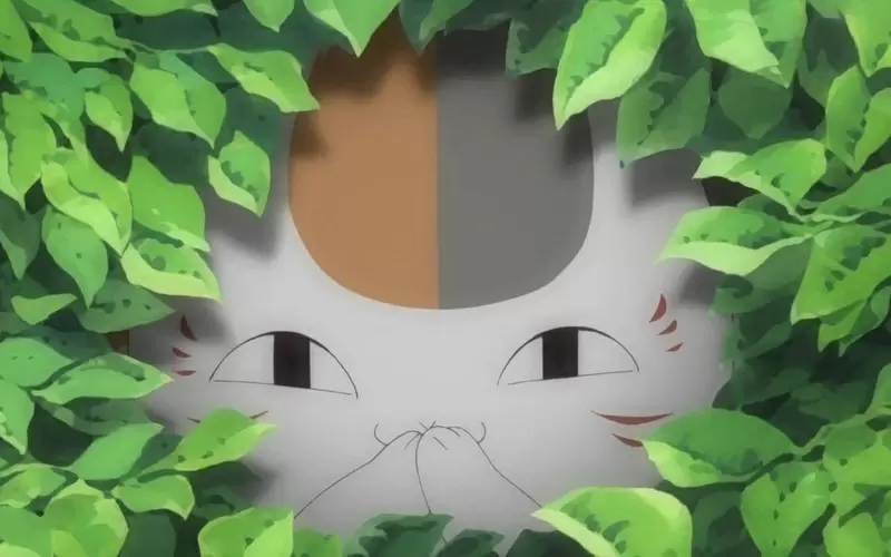 《小貓在家中不見了》飼主請教網友認為牠會躲在哪 發動地毯式搜索的結果是……