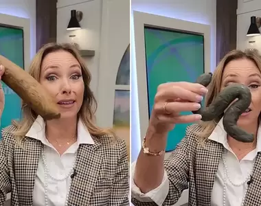 《你的大便是什麼形狀》加拿大自然療法醫師教你如何分辨便便健康度