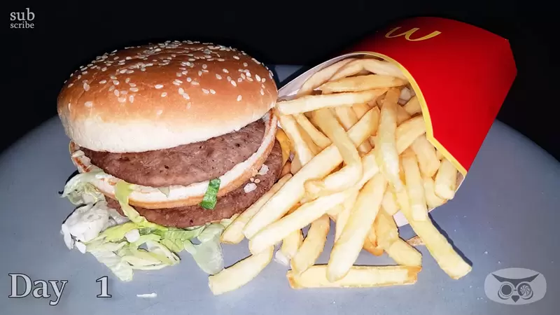 《麥當勞大麥克套餐放置實驗》預計4週拍攝看看食物本身會發生什麼變化? 《麥當勞大麥克套餐放置實驗》預計4週拍攝看看食物本身會發生什麼變化?