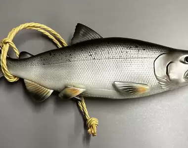 惡搞感十足的《鮭魚化妝包》開包的狀態就像是清理完內臟,打算直接煎來吃的模樣