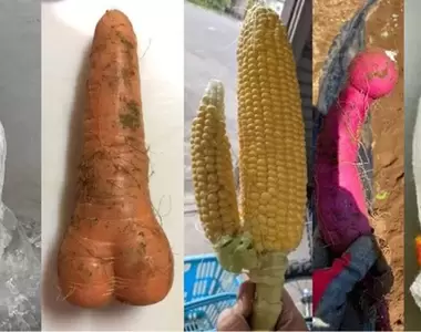 《想歪的人才會看見的畫面》如果每一張我都覺得是色圖,是不是代表我沒救惹QQ