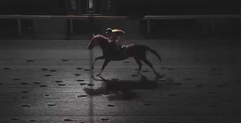 《日本賽馬驚爆超扯意外》工作人員關錯燈害大家摸黑比賽 騎手摔傷賽馬安樂死