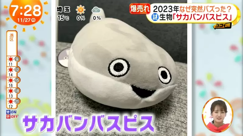 《2023年爆紅的薩卡班甲魚◉▼◉》謎之呆萌古生物在日本引發轟動 牠的起源其實來自地球另一端