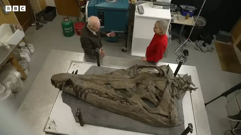 英國發現《水下暴龍》化石 上面有130顆尖牙 曾經活在1.5億年前水下的頂級掠食者 英國發現《水下暴龍》化石 上面有130顆尖牙 曾經活在1.5億年前水下的頂級掠食者