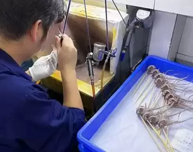 《美少女公仔驚爆生產危機》中國工廠接連無預警停產 社會主義鐵拳砸到這個業界了?