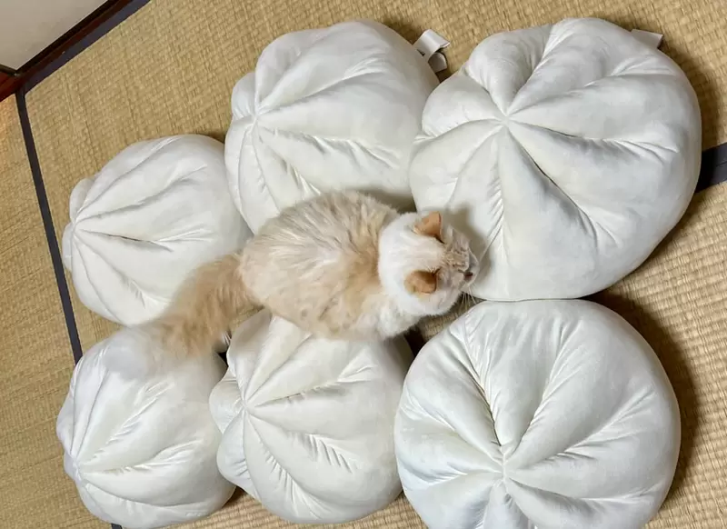網友大推好物《宜得利肉包抱枕》超人氣麻糬(MOCHIMOCHI)靠墊,軟綿綿的Q彈質感好舒服 網友大推好物《宜得利肉包抱枕》超人氣麻糬(MOCHIMOCHI)靠墊,軟綿綿的Q彈質感好舒服