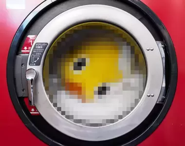 日清雞湯拉麵《日清小雞》推特發文說偶爾也該洗衣下,PO照片像是恐怖電影照嚇壞網友XD