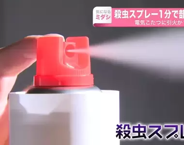 《對著蟑螂狂噴1分鐘》日本大叔狠下心滅蟑,結果導致家裡爆炸把自己炸飛