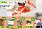 《日本聖誕蛋糕崩壞事件》網友與媒體都想知道為什麼變成稀巴爛 高島屋宣布扛下所有責任