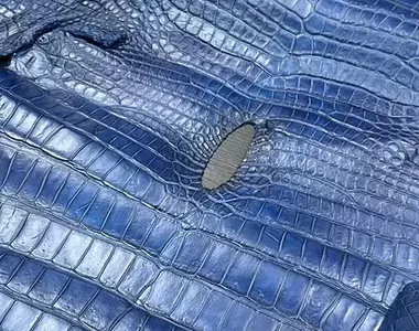 一群人思考著《鱷魚的屁洞》想來想去這裡的唯一用途就是面紙盒了嗎?