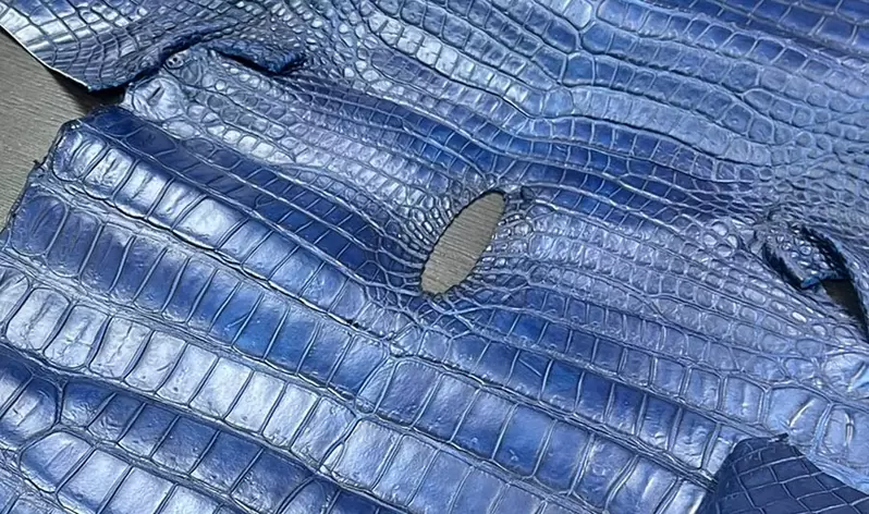 一群人思考著《鱷魚的屁洞》想來想去這裡的唯一用途就是面紙盒了嗎? 一群人思考著《鱷魚的屁洞》想來想去這裡的唯一用途就是面紙盒了嗎?