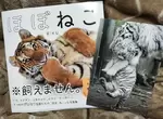 喜歡貓的你肯定喜歡的《猛獸寫真集》特色就是超像貓貓,一舉一動都很貓❤ 喜歡貓的你肯定喜歡的《猛獸寫真集》特色就是超像貓貓,一舉一動都很貓❤