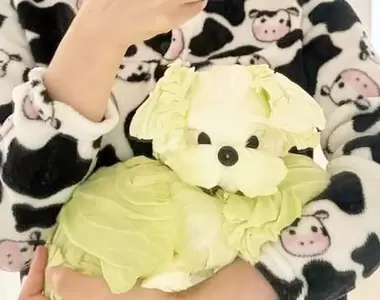 狗狗+高麗菜會等於《高麗菜犬》太想要養狗但家裡只有青菜怎辦?網友想出這招解法XD