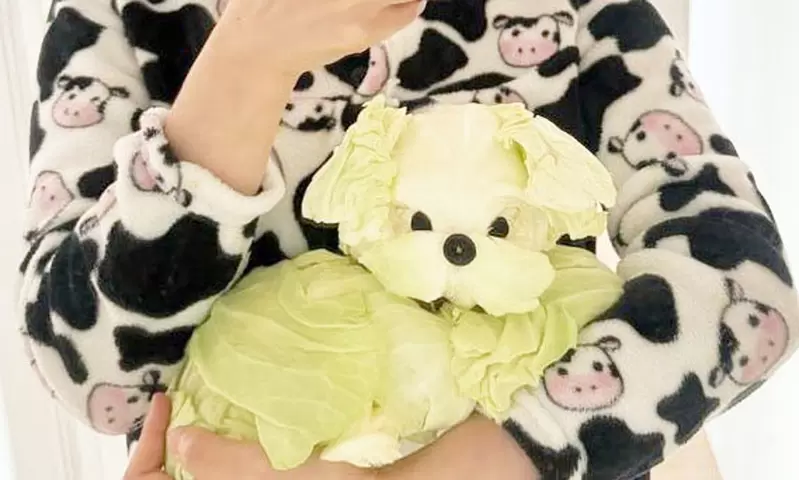狗狗+高麗菜會等於《高麗菜犬》太想要養狗但家裡只有青菜怎辦？網友想出這招解法XD