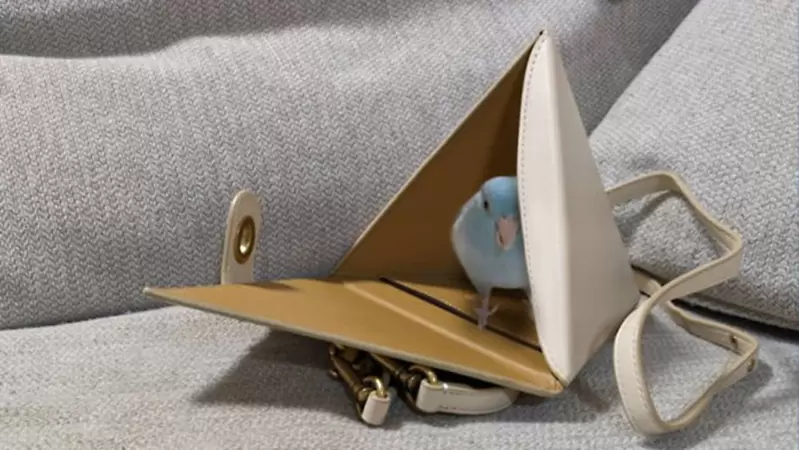 正確的使用方式《Coach千年積木包》網友多次嘗試後終於找到正確的用處? 正確的使用方式《Coach千年積木包》網友多次嘗試後終於找到正確的用處?