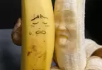 香蕉雕刻職人《山田惠輔》用牙籤精雕細琢出來的BANANA藝術