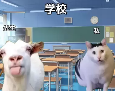 網友分享《加拿大留學日常》搞笑要素太多看得人哈哈大笑