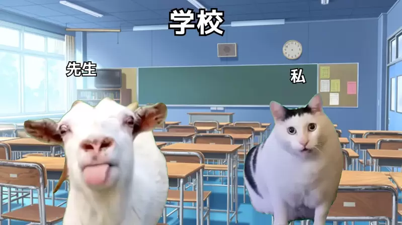 網友分享《加拿大留學日常》搞笑要素太多看得人哈哈大笑