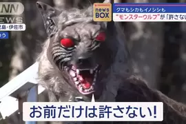 《嚇跑動物的「怪物狼」》發源於北海道的動物驅趕器 大獲好評日本各地都在用