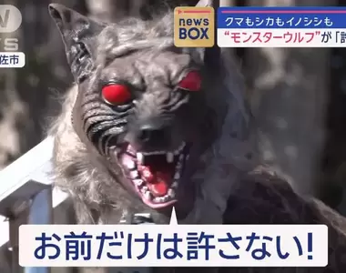 《嚇跑動物的「怪物狼」》發源於北海道的動物驅趕器 大獲好評日本各地都在用