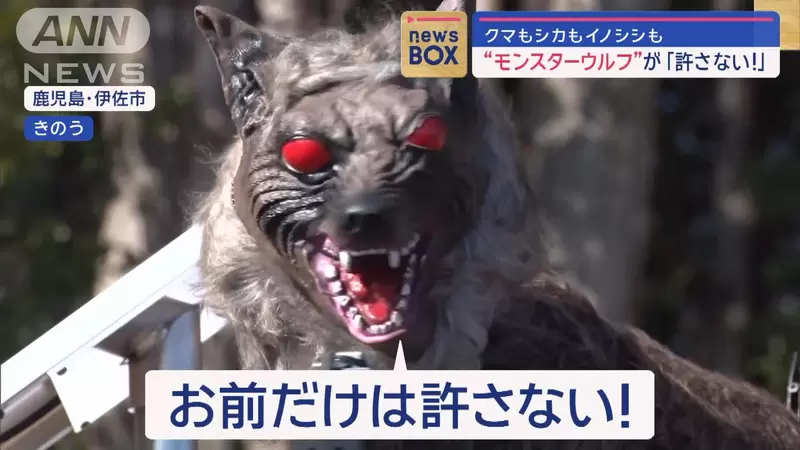 《嚇跑動物的「怪物狼」》發源於北海道的動物驅趕器 大獲好評日本各地都在用 《嚇跑動物的「怪物狼」》發源於北海道的動物驅趕器 大獲好評日本各地都在用