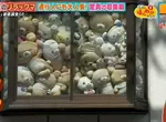 《塞滿700隻拉拉熊的房子》老公送的生日禮物讓她愛上拉拉熊 如今取悅路人也成了樂趣之一