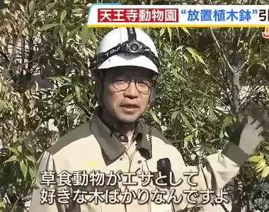 《大阪創意垃圾處理法》103個花盆占用道路30年 動物園開心拿去餵草食動物