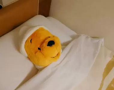 房務人員的貼心小動作 放在房間裡的玩偶會在整理房間後被整齊的放好~超貼心