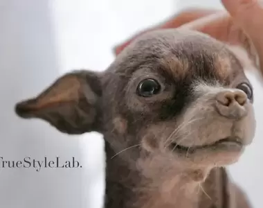 耗費500個小時製作的羊毛氈狗狗 羊毛氈造型作家「太田光美」近期最讓人驚豔的作品