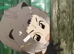 《長崎動物園新奇伴手禮》美洲河狸啃出的木頭 買回家能夠做些什麼用途呢? 《長崎動物園新奇伴手禮》美洲河狸啃出的木頭 買回家能夠做些什麼用途呢?