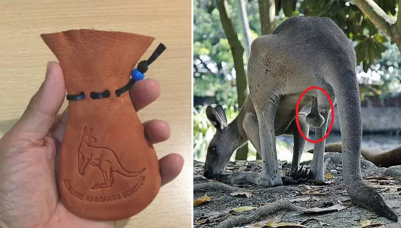 澳洲定番土產《袋鼠的蛋蛋袋》造型略有不同是特色，除此之外聽說還有運氣守護的功效？