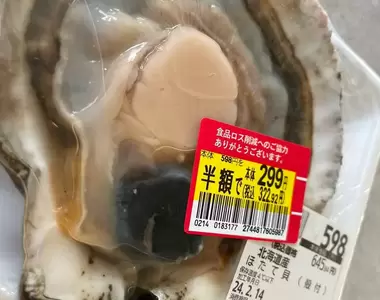 偶然發現的《扇貝珍珠》聽說一百萬個中才會出現一個的珍品