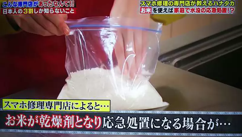 《搶救泡水手機的都市傳說》還在相信放米缸吸水的說法嗎?蘋果已經呼籲不要這麼做 《搶救泡水手機的都市傳說》還在相信放米缸吸水的說法嗎?蘋果已經呼籲不要這麼做