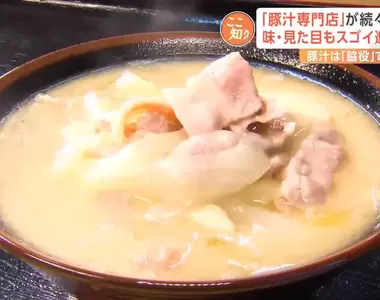 《日本豚汁熱潮》全國各地專賣店暴增中 會成為新文化還是曇花一現呢?
