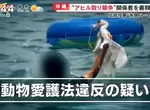 《沖繩搶鴨子比賽》糸滿龍舟祭餘興節目 主辦單位挨批虐待動物函送法辦了 《沖繩搶鴨子比賽》糸滿龍舟祭餘興節目 主辦單位挨批虐待動物函送法辦了