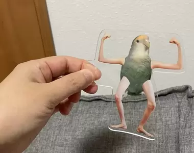 《手足壓克力鑰匙圈》被網友喻為與鳥鳥契合度最好的趣味小物