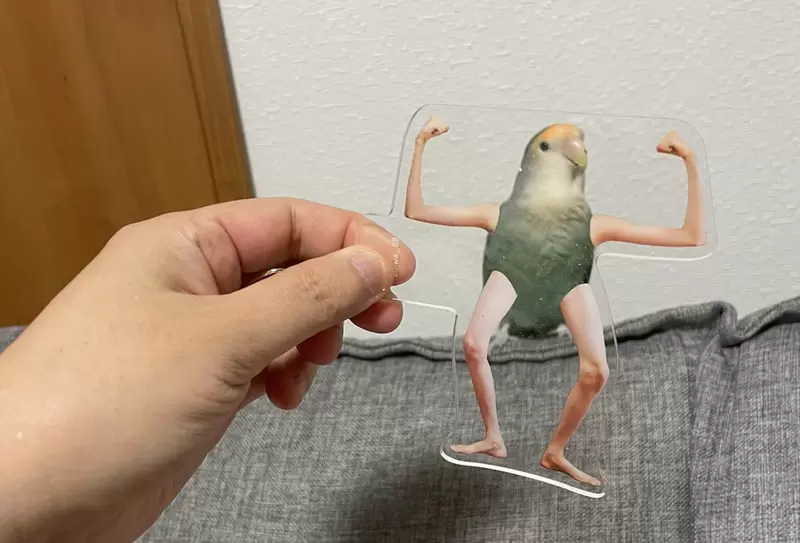 《手足壓克力鑰匙圈》被網友喻為與鳥鳥契合度最好的趣味小物 《手足壓克力鑰匙圈》被網友喻為與鳥鳥契合度最好的趣味小物