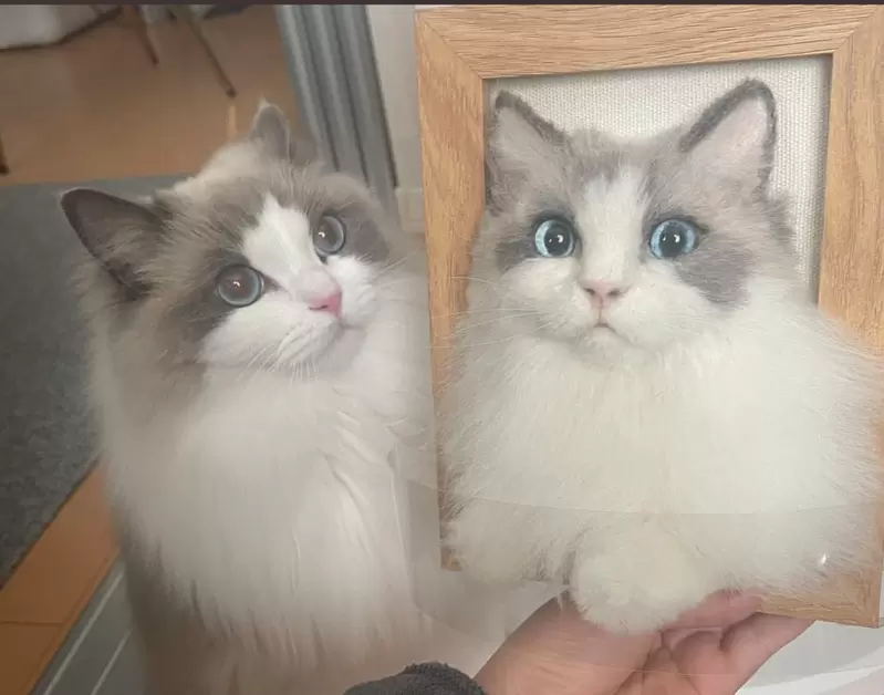 愛貓藝術家的羊毛氈創作 差一點點就會被認為是真貓的超高還原度 愛貓藝術家的羊毛氈創作 差一點點就會被認為是真貓的超高還原度