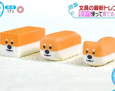 《日本話題可愛文具》養出你專屬的柴犬橡皮擦 助你大大提高工作生產力