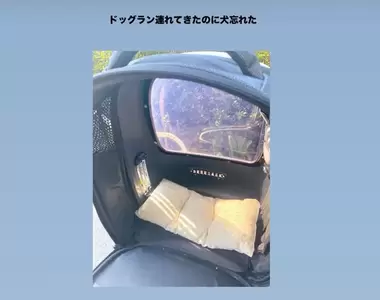 帶了狗運輸籠卻忘了帶狗 這段故事的好笑程度只能打100分不能再高了